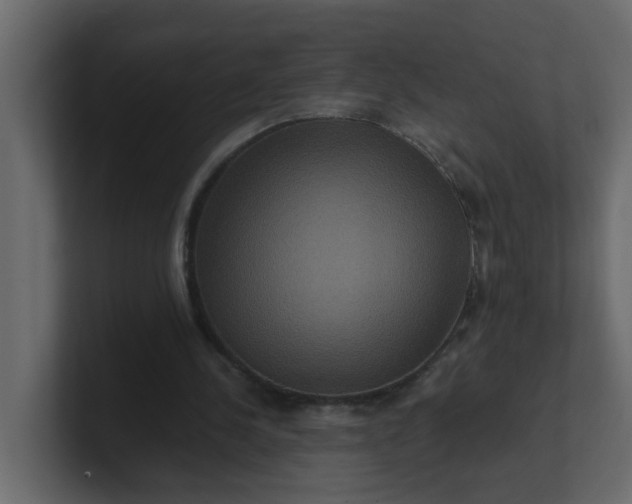 X0000101120244200807101549