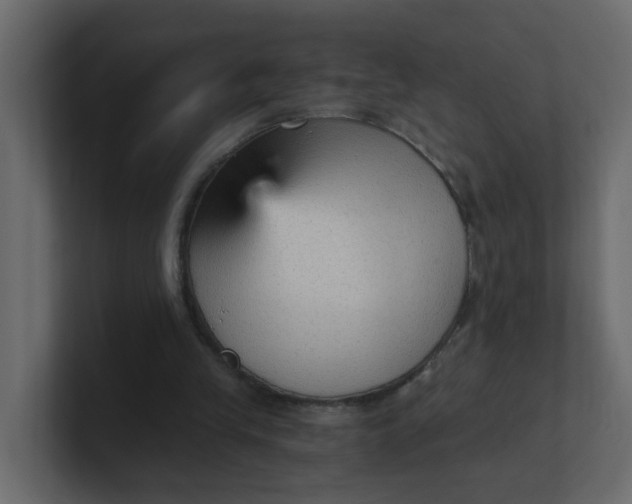 X0000101120245200807101549