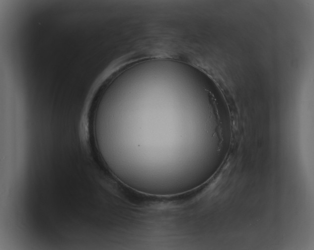 X0000101120246200807101549