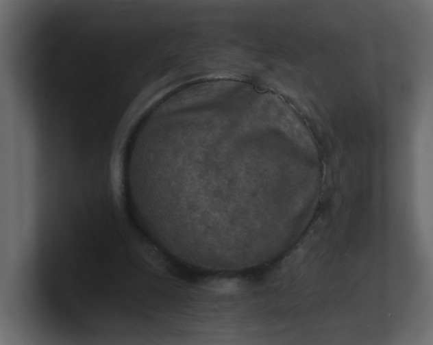 X0000101120247200807101549