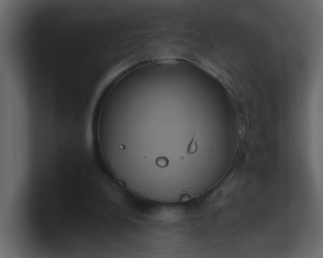 X0000101120248200807101549