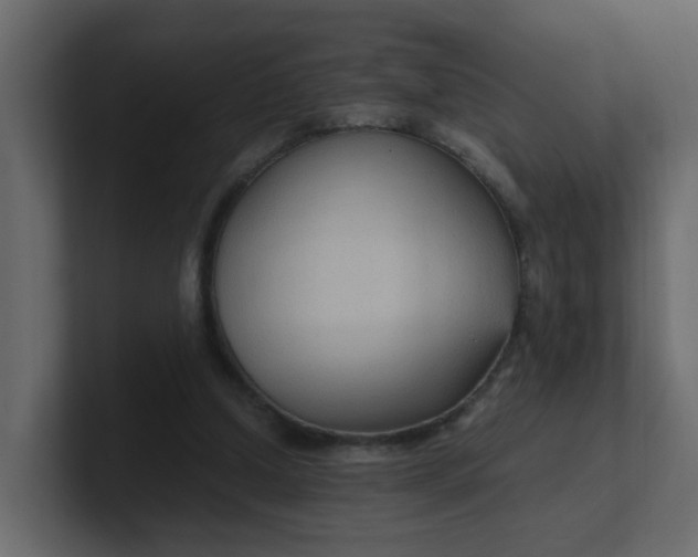 X0000101120250200807101549