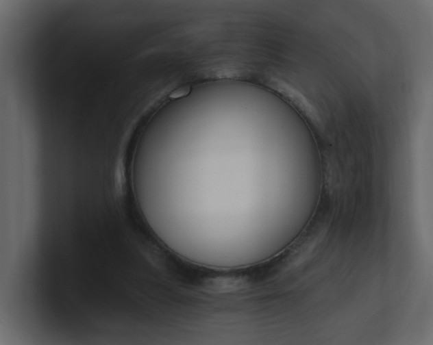 X0000101120251200807101549