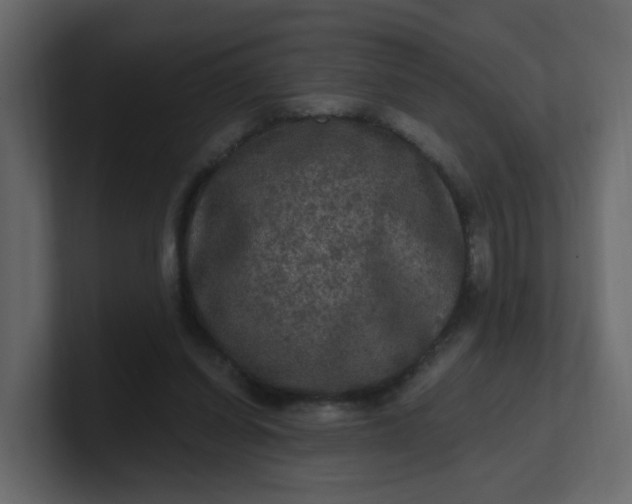 X0000101120254200807101549