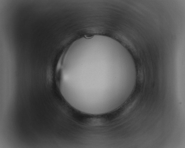 X0000101120255200807101549