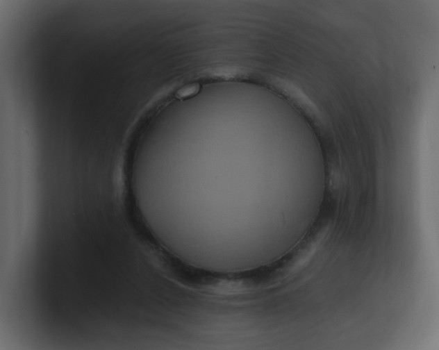 X0000101120256200807101549