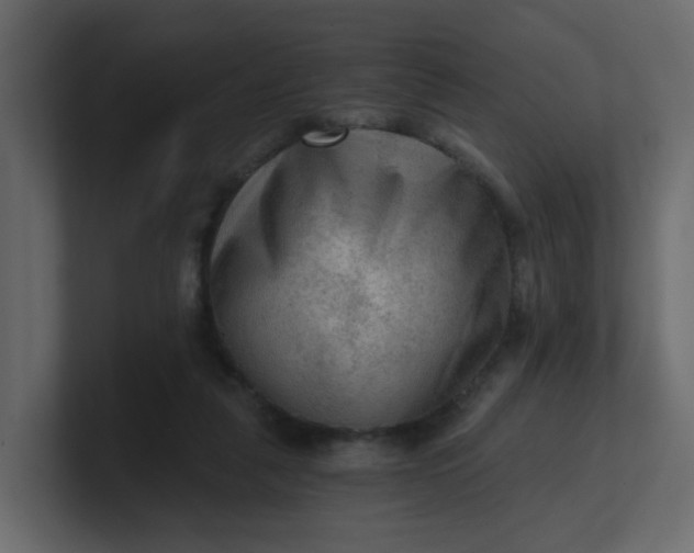 X0000101120259200807101549