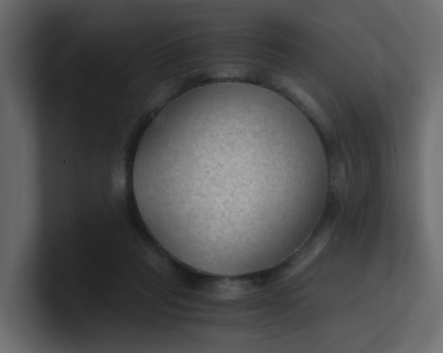 X0000101120261200807101549