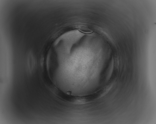 X0000101120263200807101549