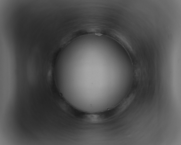 X0000101120265200807101549