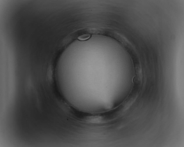 X0000101120266200807101549