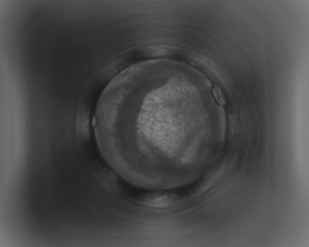 X0000101120267200807101549