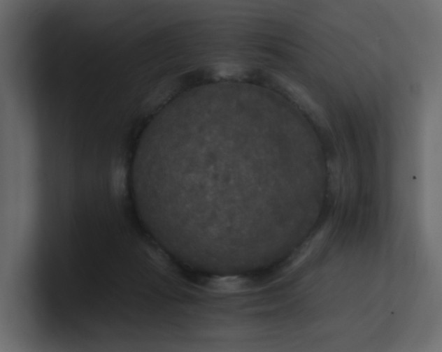 X0000101120269200807101549