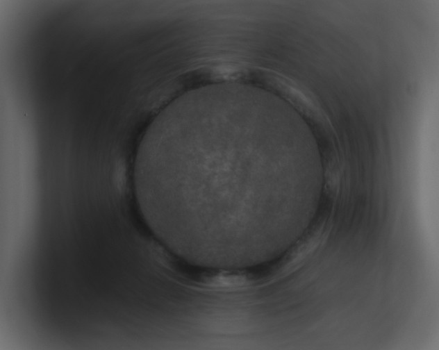 X0000101120270200807101549