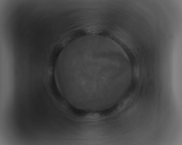 X0000101120271200807101549