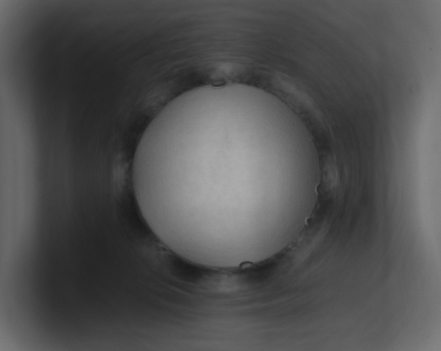 X0000101120276200807101549