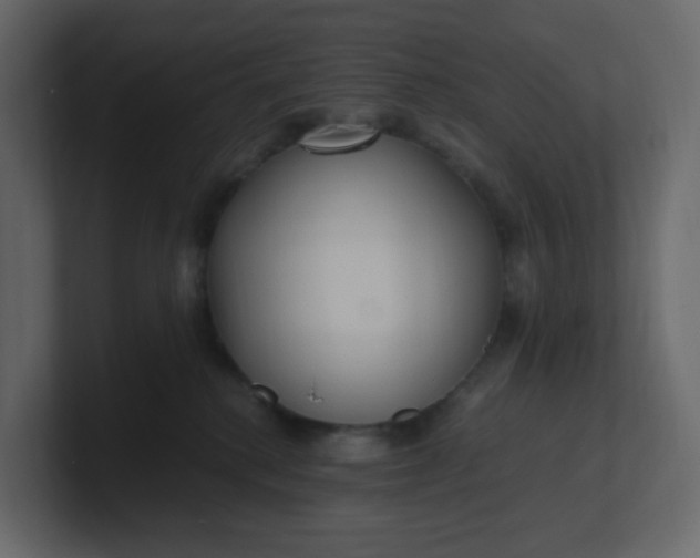 X0000101120280200807101550