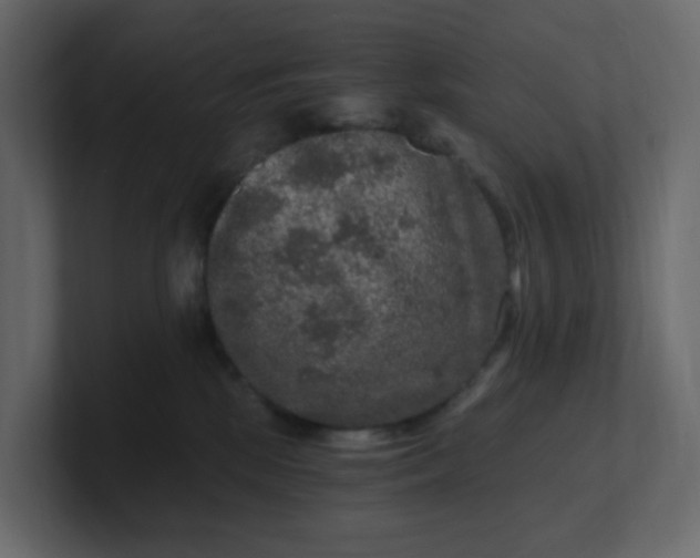 X0000101120281200807101550