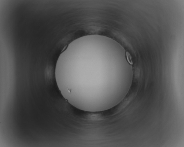 X0000101120283200807101550