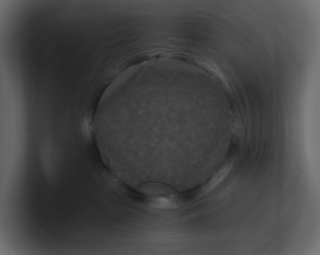 X0000101120285200807101550
