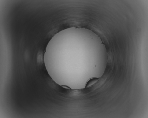X0000101120287200807101550