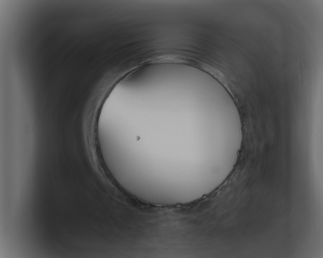 X0000101120289200807101549