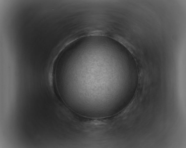 X0000101120290200807101549