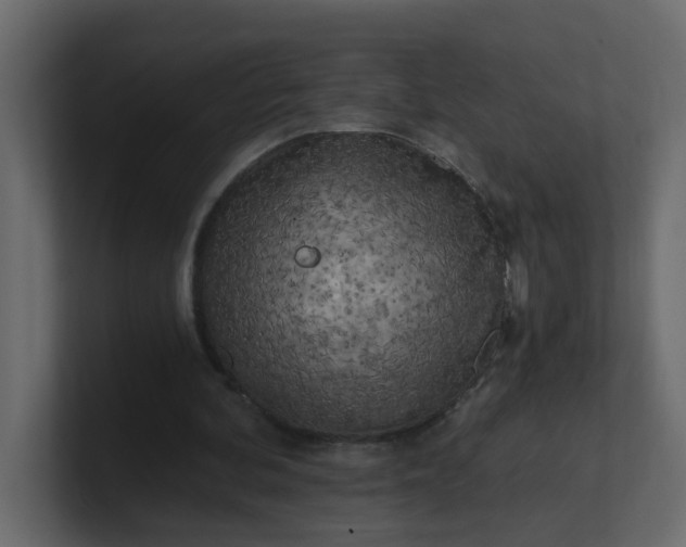 X0000101120292200807101549