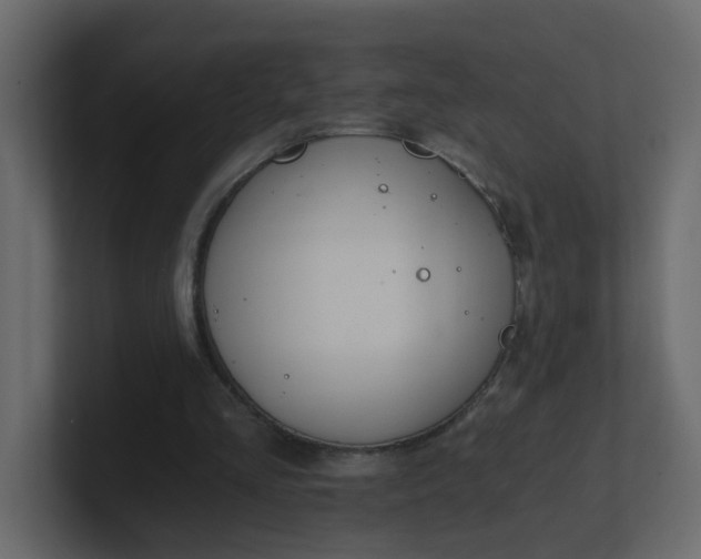 X0000101120293200807101549