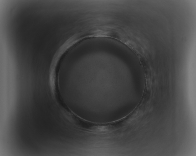 X0000101120295200807101549