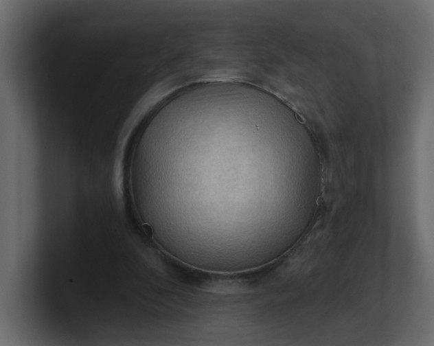 X0000101120296200807101549