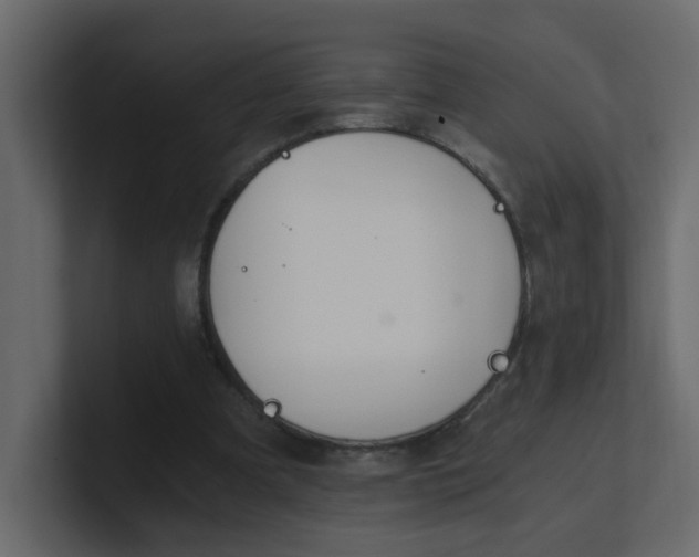 X0000101120297200807101549