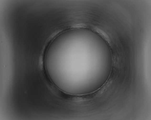 X0000101120298200807101549