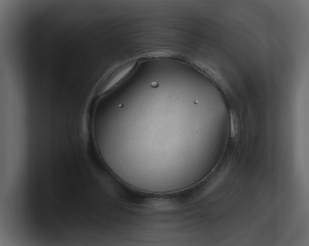 X0000101120300200807101549