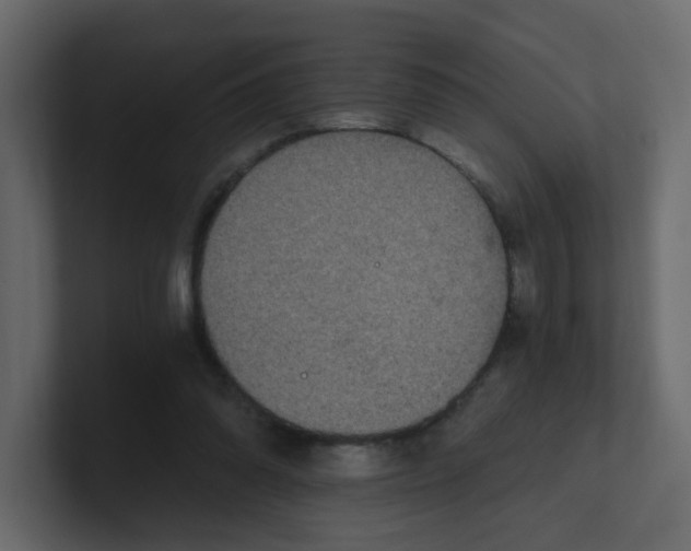 X0000101120302200807101549