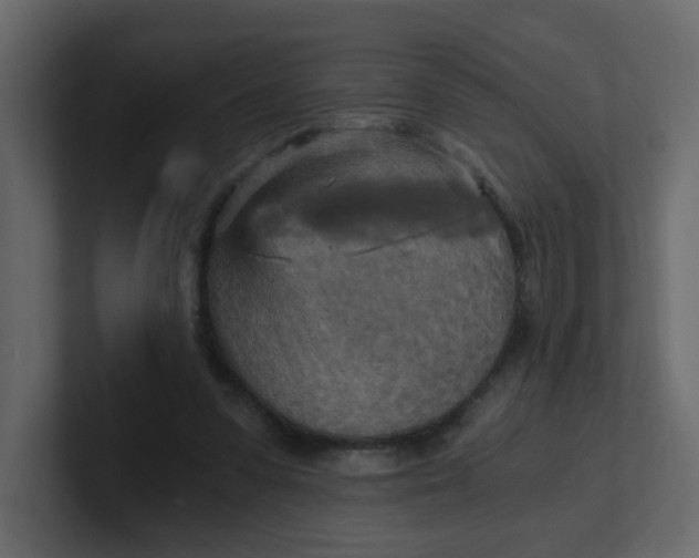 X0000101120303200807101549