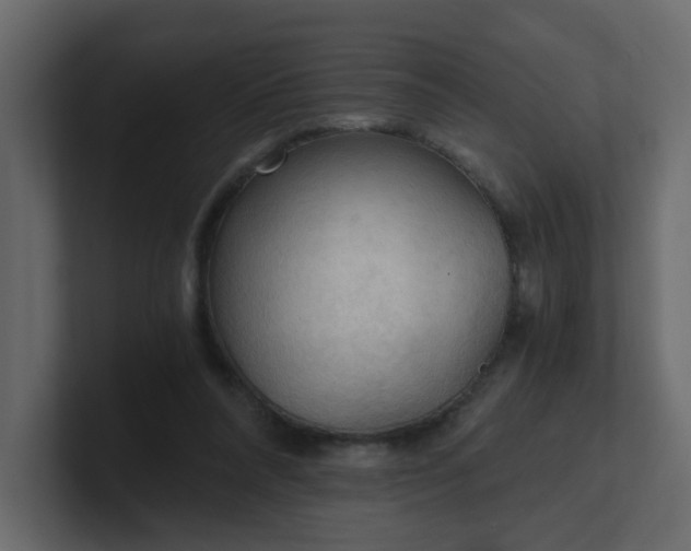 X0000101120304200807101549
