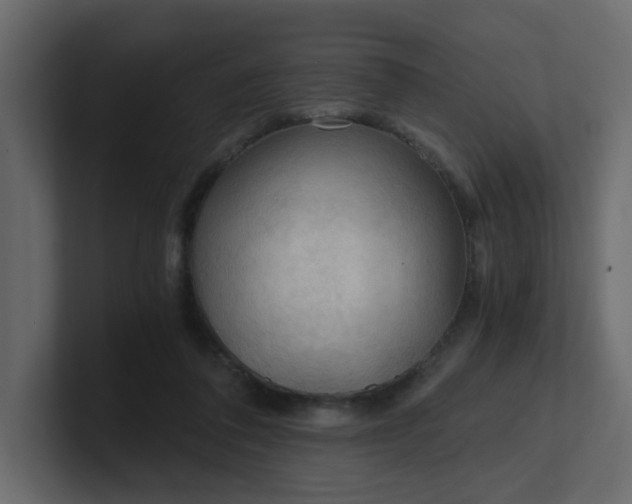 X0000101120308200807101549