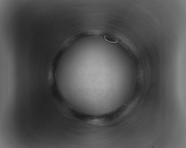 X0000101120312200807101549