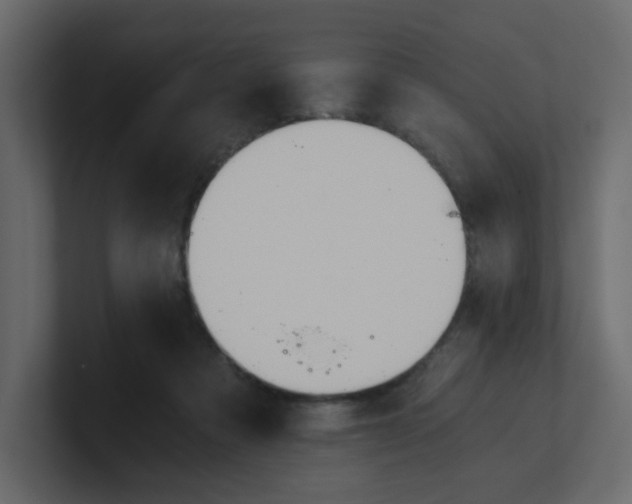 X0000101120313200807101549