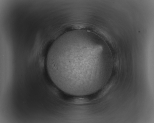 X0000101120315200807101549