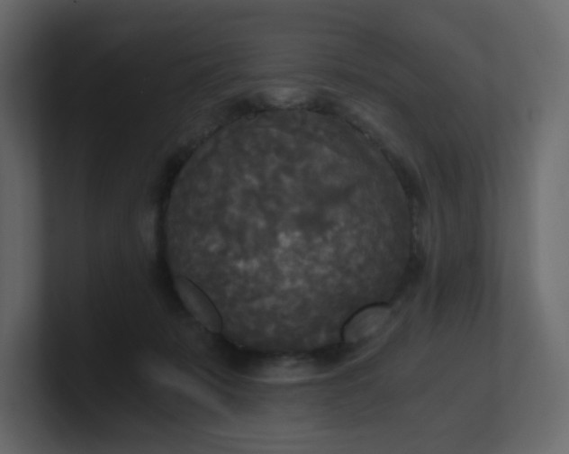 X0000101120319200807101549