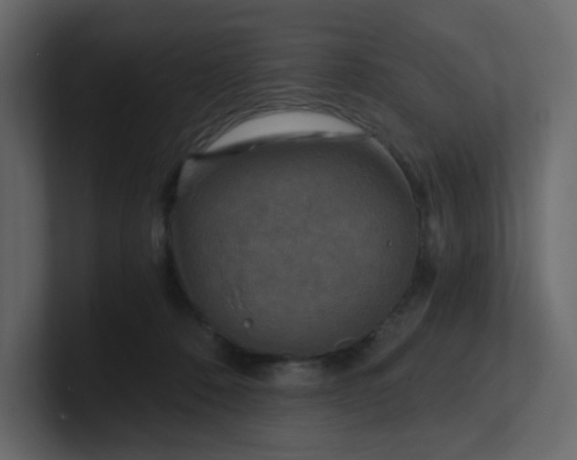 X0000101120320200807101549