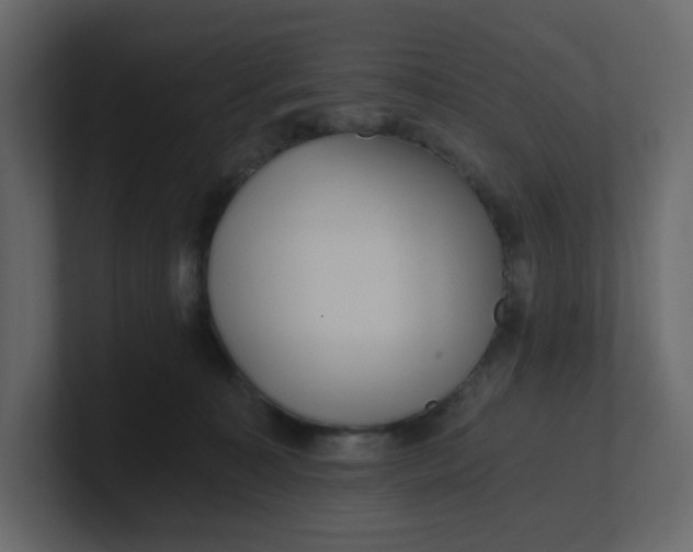 X0000101120323200807101548
