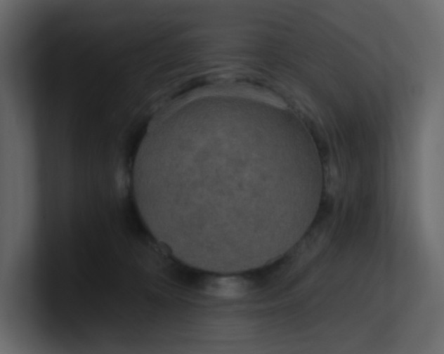 X0000101120324200807101548