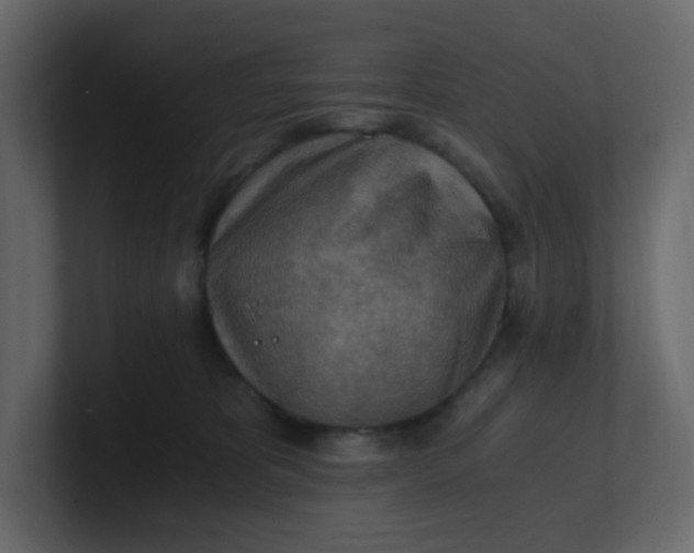 X0000101120325200807101548