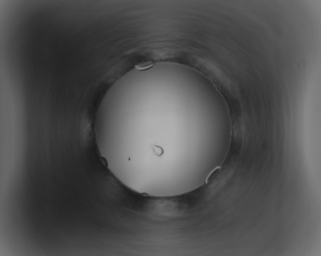 X0000101120327200807101548