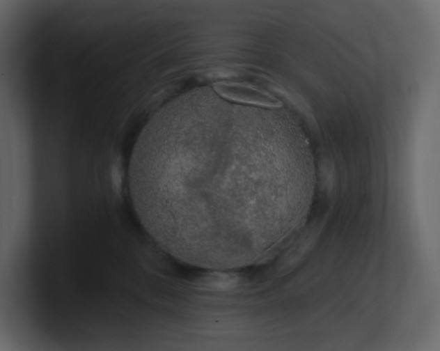 X0000101120328200807101548