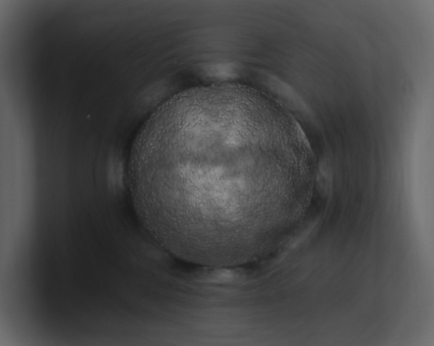 X0000101120330200807101548
