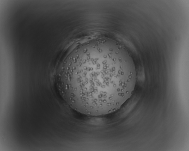 X0000101120332200807101548